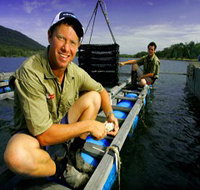 Armstrong Oysters - Accommodation Georgetown
