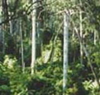 Lind National Park - Accommodation Georgetown