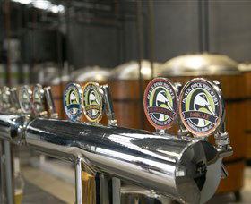 Black Duck Brewery - Accommodation Georgetown 0