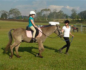 Port Macquarie Horse Riding Centre - Accommodation Georgetown 0