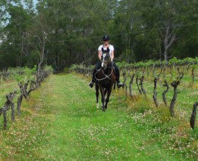 Port Macquarie Horse Riding Centre - Accommodation Georgetown 1