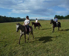 Port Macquarie Horse Riding Centre - Accommodation Georgetown 5