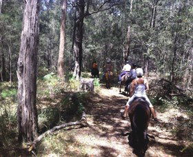 Port Macquarie Horse Riding Centre - Accommodation Georgetown 4
