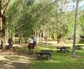 Port Macquarie Horse Riding Centre - Accommodation Georgetown 6