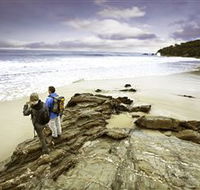 Wilderness Coast Walk - Accommodation Georgetown