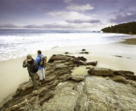 Wilderness Coast Walk - Accommodation Georgetown 0