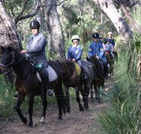 Mirravale Horse Riding School - Accommodation Georgetown