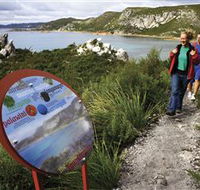 Rocky Cape National Park - Accommodation Georgetown