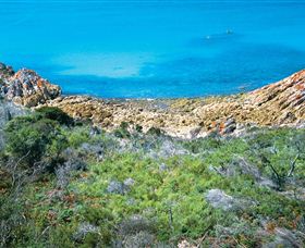 Rocky Cape National Park - Accommodation Georgetown 3
