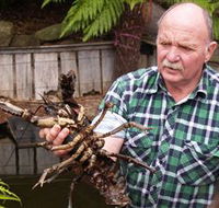 Lobster Ponds - Accommodation Georgetown