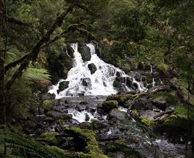 Hellyer Gorge - Accommodation Georgetown 2