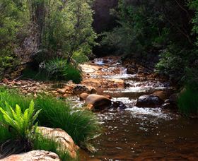 Hellyer Gorge - Accommodation Georgetown 1