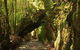 Philosopher Falls - thumb 0