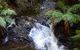 Philosopher Falls - thumb 4