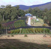 Motton Terraces - Accommodation Georgetown