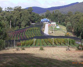 Motton Terraces - Accommodation Georgetown 0