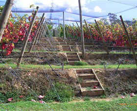 Motton Terraces - Accommodation Georgetown 2