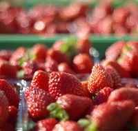 Turners Beach Berry Patch - Accommodation Georgetown