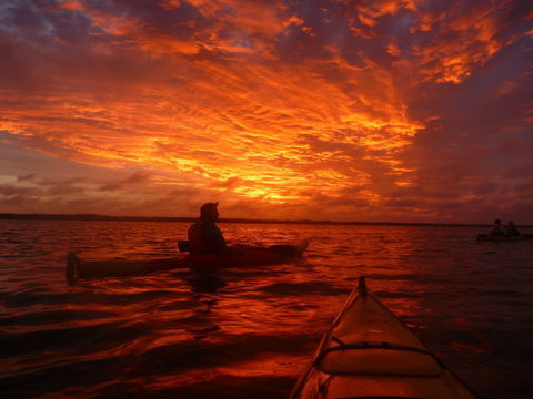 Canoe The Coorong - Accommodation Georgetown 4