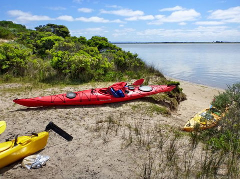 Canoe The Coorong - Accommodation Georgetown 8
