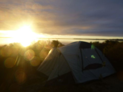Canoe The Coorong - Accommodation Georgetown 14