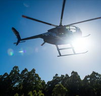 Tall Timbers Adventure Tours - Accommodation Georgetown
