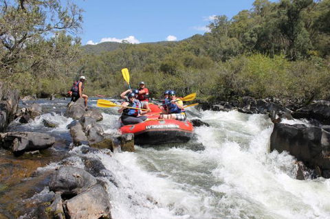 Rafting Australia - Accommodation Georgetown 2
