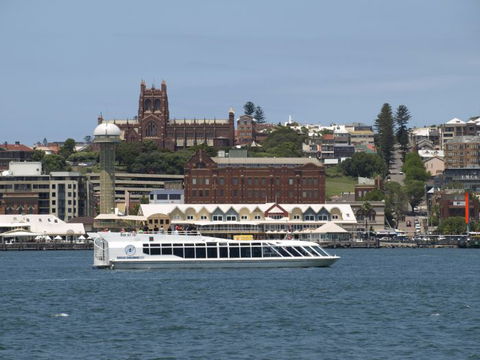 Nova Cruises - Accommodation Georgetown 10
