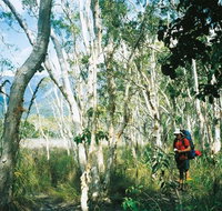 Thorsborne Trail Hinchinbrook Island National Park - Accommodation Georgetown