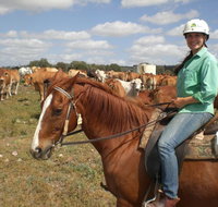 Myella Farm Stay Tours - Accommodation Georgetown