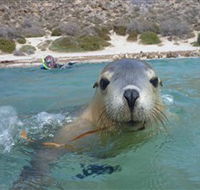 Calypso Star Charters - Accommodation Georgetown