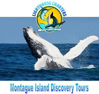 Lighthouse Charters Narooma - Accommodation Georgetown