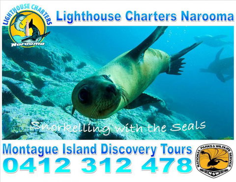 Lighthouse Charters Narooma - Accommodation Georgetown 13