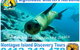 Lighthouse Charters Narooma - thumb 15