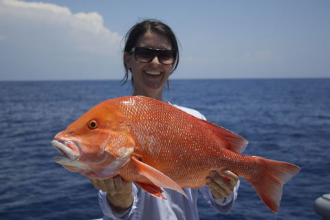 Absolute Ocean Charters - Accommodation Georgetown 4