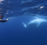 Sunreef Mooloolaba - Accommodation Georgetown