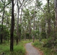 Caboolture Regional Environment Education Centre - Walking Trails - Accommodation Georgetown