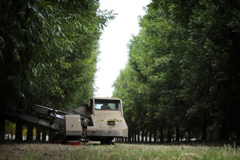 ODempseys Charters And Tours - Accommodation Georgetown 1