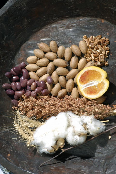 ODempseys Charters And Tours - Accommodation Georgetown 2