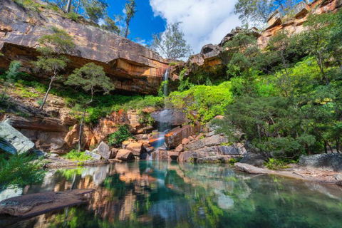 Dig The Tropic Four Day Drive - Accommodation Georgetown 2