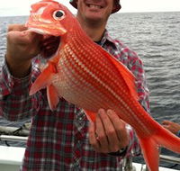 Goin' Off Safaris - Accommodation Georgetown