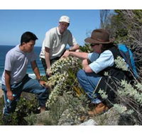 Sapphire Coast Ecotours - Accommodation Georgetown