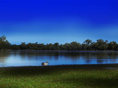 Stars, Parks And Legends Drive - Accommodation Georgetown 2
