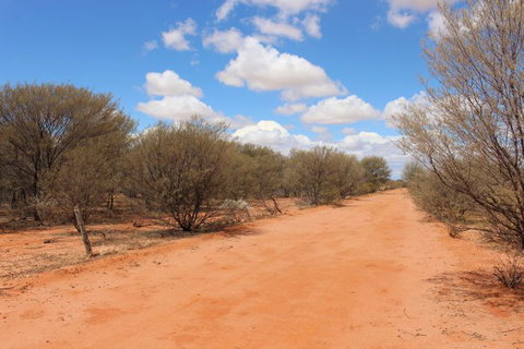 Stars, Parks And Legends Drive - Accommodation Georgetown 7