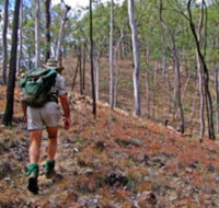 Shepherd's Peak Trail - Accommodation Georgetown