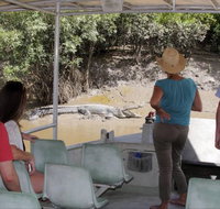 Whitsunday Crocodile Safari - Accommodation Georgetown