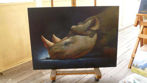 Art On Pallas - Accommodation Georgetown 0