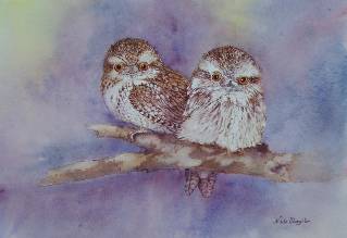 Nada’s Fine Art Gallery - Accommodation Georgetown 1