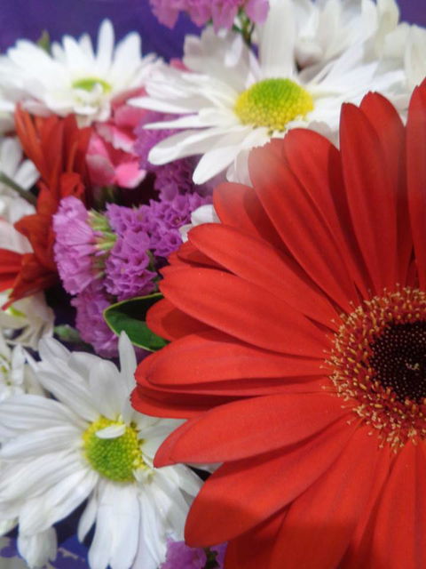 Marysworldart Bali Imports - Accommodation Georgetown 0