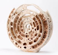 Noosa Regional Gallery - Accommodation Georgetown